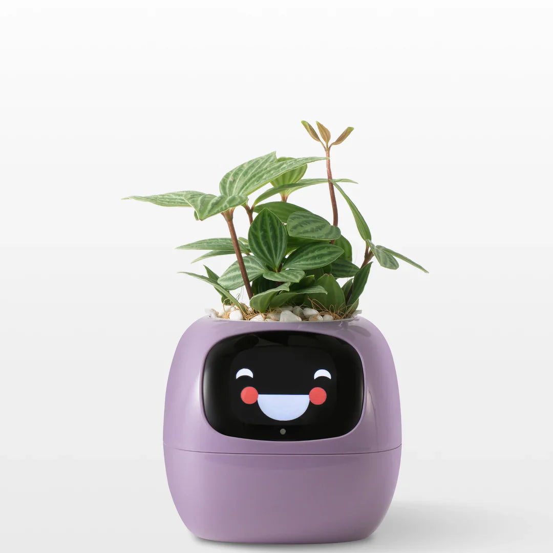 Ivy Smart Plant Pot