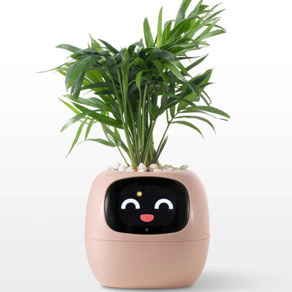 Ivy Smart Plant Pot