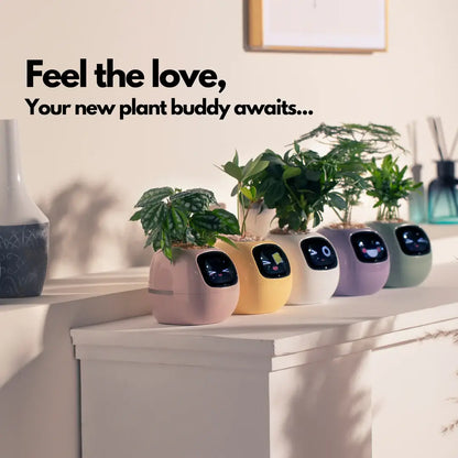 Ivy Smart Plant Pot