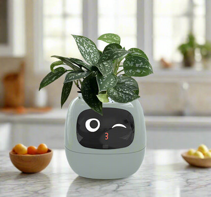 Ivy Smart Plant Pot